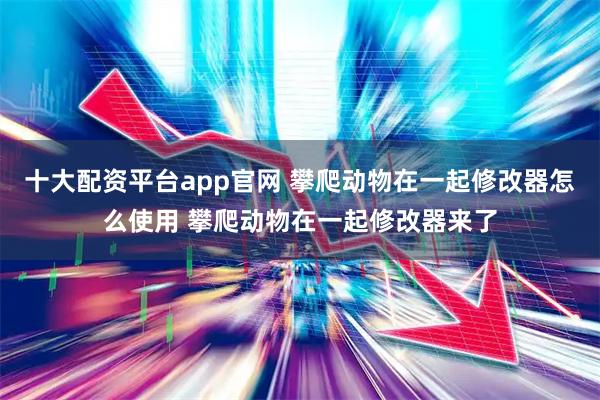 十大配资平台app官网 攀爬动物在一起修改器怎么使用 攀爬动物在一起修改器来了