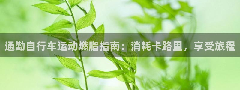 尊龙凯时的最新消息|通勤自行车运动燃脂指南:消耗卡路里,享受旅程(图1) 尊龙凯时的最新消息