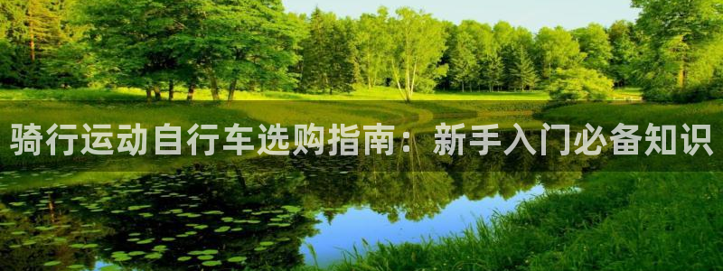 ag尊龙凯时官网|骑行运动自行车选购指南:新手入门必备知识(图1) ag尊龙凯时官网