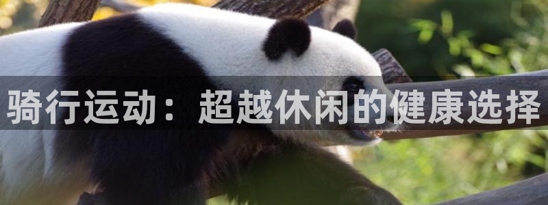 尊龙凯时 - 人生就是搏|骑行运动:超越休闲的健康选择(图1) 尊龙凯时 - 人生就是搏