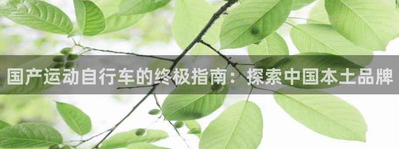 尊龙凯时人生就是博·(中国)官网|国产运动自行车的终极指南:探索中国本土品牌(图1) 尊龙凯时人生就是博·(中国)官网