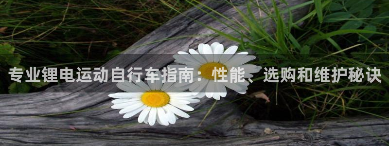 尊龙凯时 人生就是搏!平台|专业锂电运动自行车指南:性能、选购和维护秘诀(图1) 尊龙凯时 人生就是搏!平台