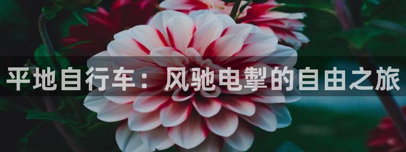 尊龙凯时平台|平地自行车:风驰电掣的自由之旅(图1) 尊龙凯时平台