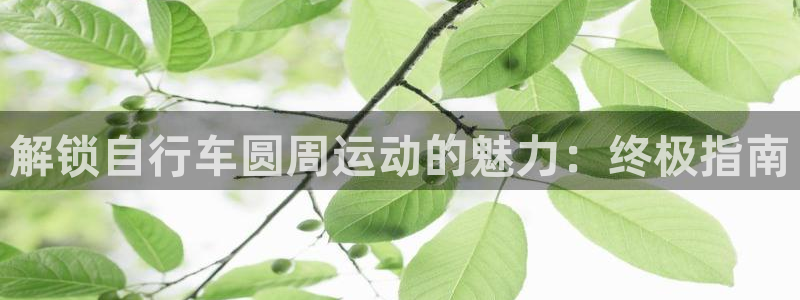 尊龙凯时-人生就是博!|解锁自行车圆周运动的魅力:终极指南(图1) 尊龙凯时-人生就是博!