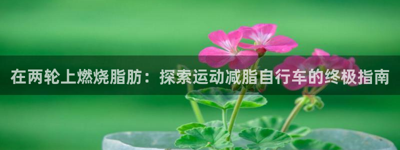 尊龙凯时人生就是博·(中国)官网|在两轮上燃烧脂肪:探索运动减脂自行车的终极指南(图1) 尊龙凯时人生就是博·(中国)官网