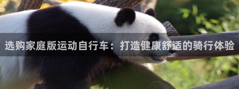 尊龙凯时是正规平台吗|选购家庭版运动自行车:打造健康舒适的骑行体验(图1) 尊龙凯时是正规平台吗