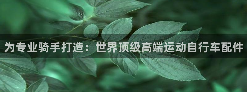 凯时尊龙|为专业骑手打造:世界顶级高端运动自行车配件(图1) 凯时尊龙