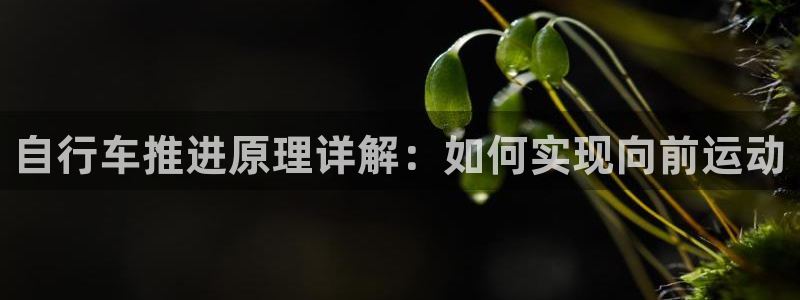 凯时尊龙app|自行车推进原理详解:如何实现向前运动(图1) 凯时尊龙app