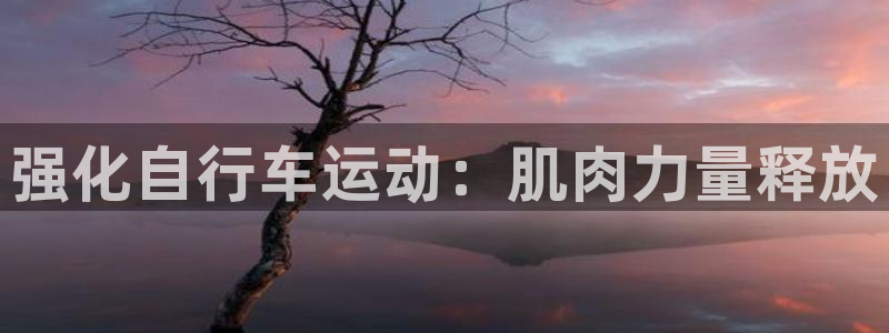 尊龙凯时官网|强化自行车运动:肌肉力量释放(图1) 尊龙凯时官网