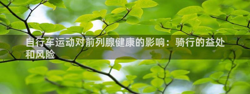 尊龙凯时网址|自行车运动对前列腺健康的影响:骑行的益处
和风险(图1) 尊龙凯时网址