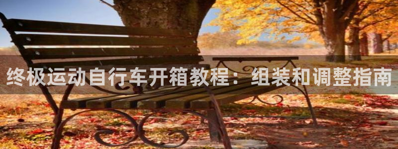 终极运动自行车开箱教程:组装和调整指南(图1) 终极运动自行车开箱教程:组装和调整指南(图1)