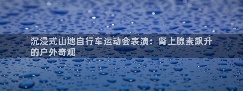 沉浸式山地自行车运动会表演:肾上腺素飙升
的户外奇观(图1) 沉浸式山地自行车运动会表演:肾上腺素飙升
的户外奇观(图1)