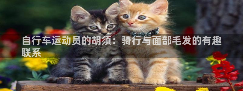 尊龙凯时人生就是搏!官网|自行车运动员的胡须:骑行与面部毛发的有趣
联系(图1) 尊龙凯时人生就是搏!官网