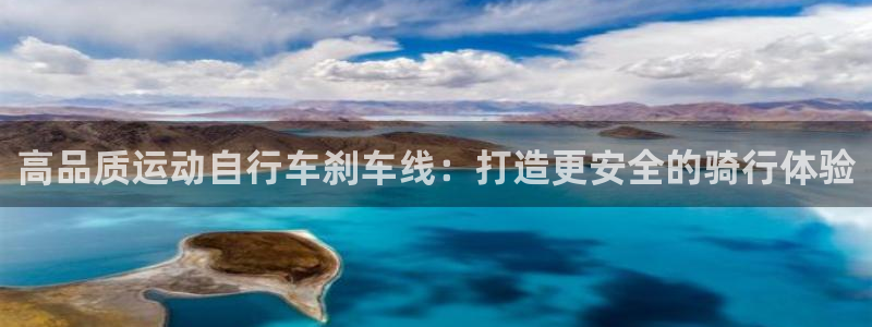 高品质运动自行车刹车线:打造更安全的骑行体验(图1) 高品质运动自行车刹车线:打造更安全的骑行体验(图1)