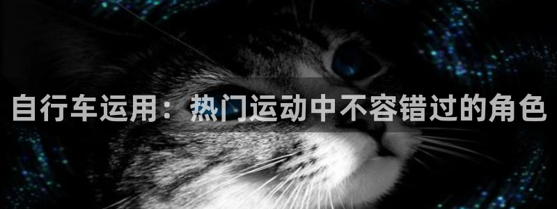 尊龙凯时人生就是搏!官网|自行车运用:热门运动中不容错过的角色(图1) 尊龙凯时人生就是搏!官网