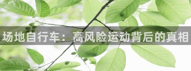 尊龙凯时怎么样|场地自行车:高风险运动背后的真相(图1) 尊龙凯时怎么样