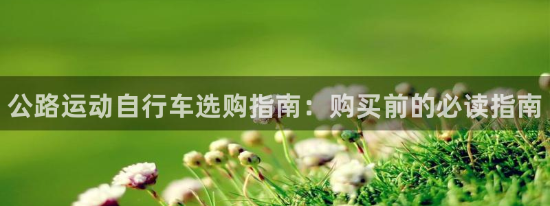 尊龙凯时官网登录|公路运动自行车选购指南:购买前的必读指南(图1) 尊龙凯时官网登录