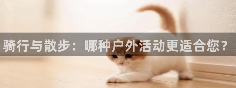 新版尊龙|骑行与散步:哪种户外活动更适合您?(图1) 新版尊龙