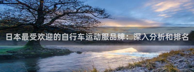 尊龙凯时的最新消息|日本最受欢迎的自行车运动服品牌:深入分析和排名(图1) 尊龙凯时的最新消息