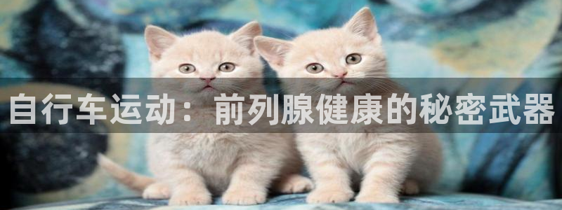 尊龙凯时人生就是博!|自行车运动:前列腺健康的秘密武器(图1) 尊龙凯时人生就是博!