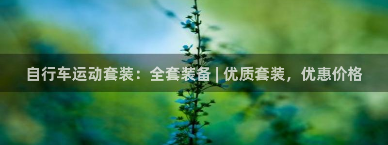 ag尊龙凯时|自行车运动套装:全套装备 | 优质套装,优惠价格(图1) ag尊龙凯时