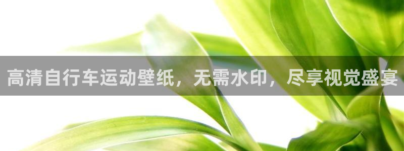 尊龙凯时官网地址是多少|高清自行车运动壁纸,无需水印,尽享视觉盛宴(图1) 尊龙凯时官网地址是多少
